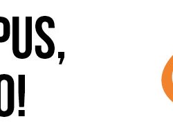 Lunico_Webseite_Header