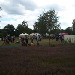 IMG_20160813_143419